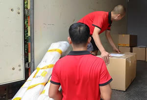 �����;���